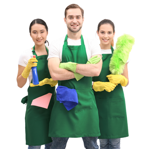 Professional cleaner with cleaning supplies